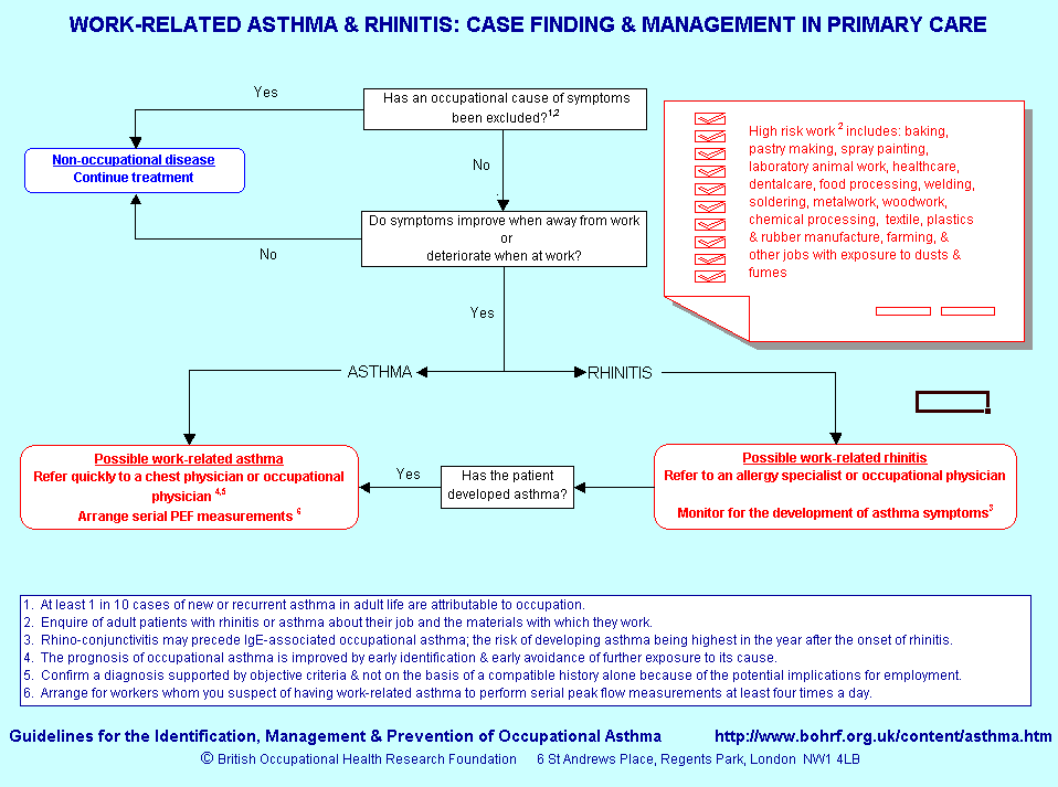 Flow chart for managing workers with asthma or rhinitis which could be due to work