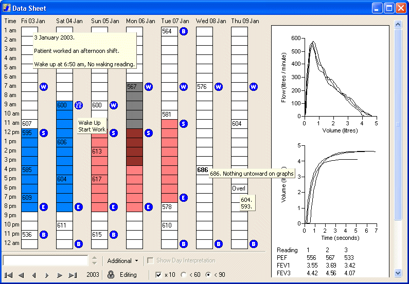 Screen shot of data entry in the Oasys Computer Program