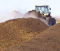 Composting workers show no accelerated FEV1 decline in Germany