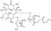 Erythromcin causes asthma in a pharmaceutical packer (new cause)